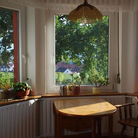 Rotes Haus Ueber Den Weinbergen Daire Konstanz Dış mekan fotoğraf